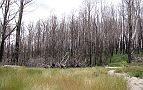 06-Keppel Hut is 10kms to the east of Marsyville - this is the view from outside the hut 